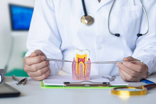 Best Emergency Root Canal Treatment in Echelon, NJ